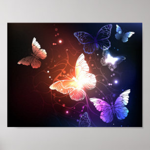 Poster Borboletas Noturnas Reluzentes