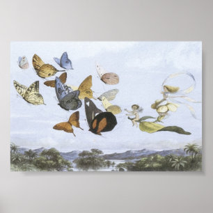 Poster - Borboletas que Andam pelas Fadas