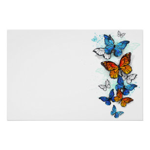 Pôster Borboletas voadoras Morpho e Monarca