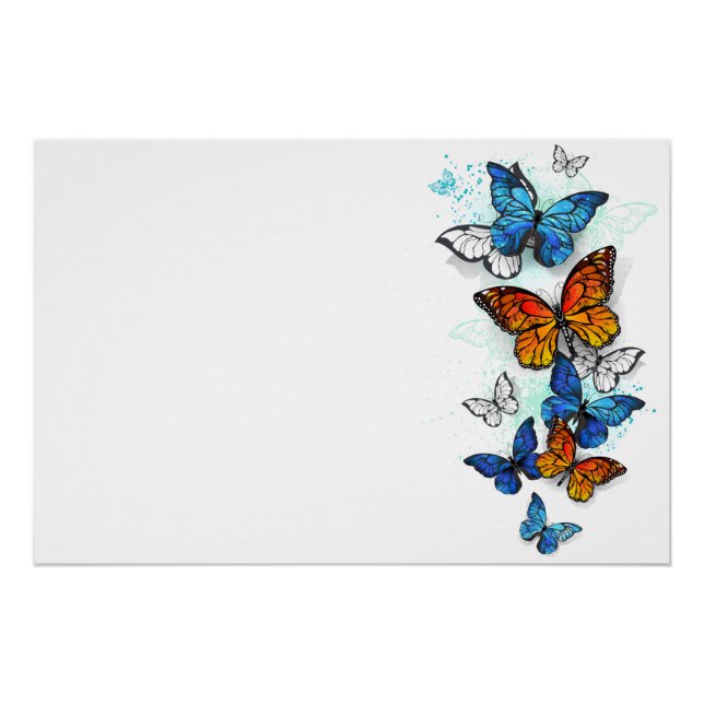 Pôster Borboletas voadoras Morpho e Monarca (Frente)