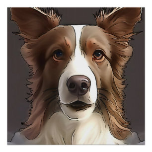 Pôster Borda Collie Dog Pet Retrato Black Outline Art
