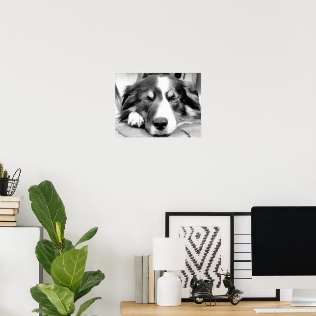 PÔSTER BORDER COLLIE (Escritório em casa)