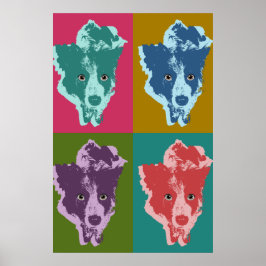 Poster Border Collie Pop Art