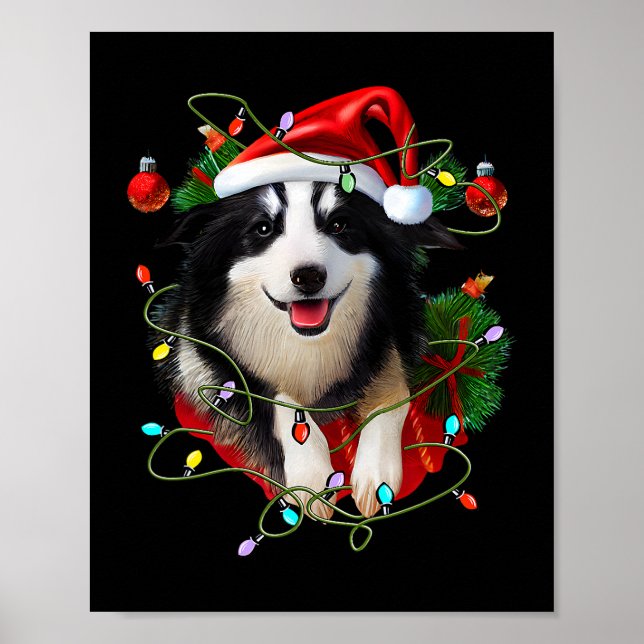 Poster Border Collie Reindeer Santa Hat Xmas Luzes Chris (Frente)