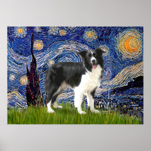 Poster Border Collie (Z) - Starry Night
