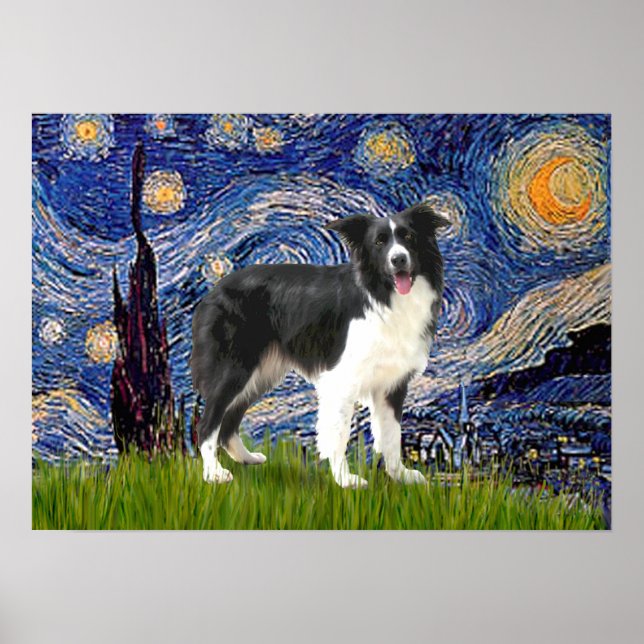 Poster Border Collie (Z) - Starry Night (Frente)