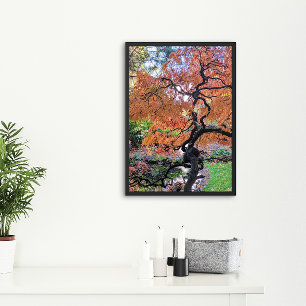 Pôster Bordo Japonês Autumn Laceleaf Botânica