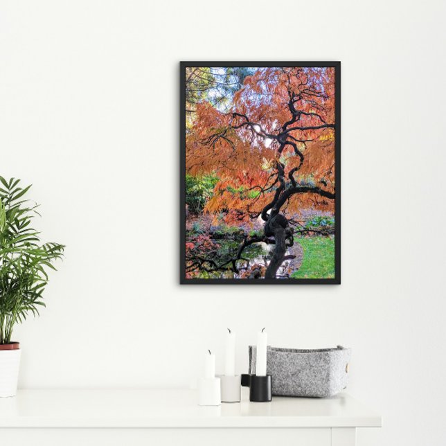 Pôster Bordo Japonês Autumn Laceleaf Botânica (In Situ)