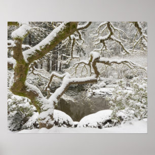 Poster Bordo japonês coberto de neve