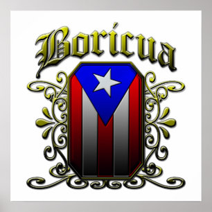 Pôster Boricua