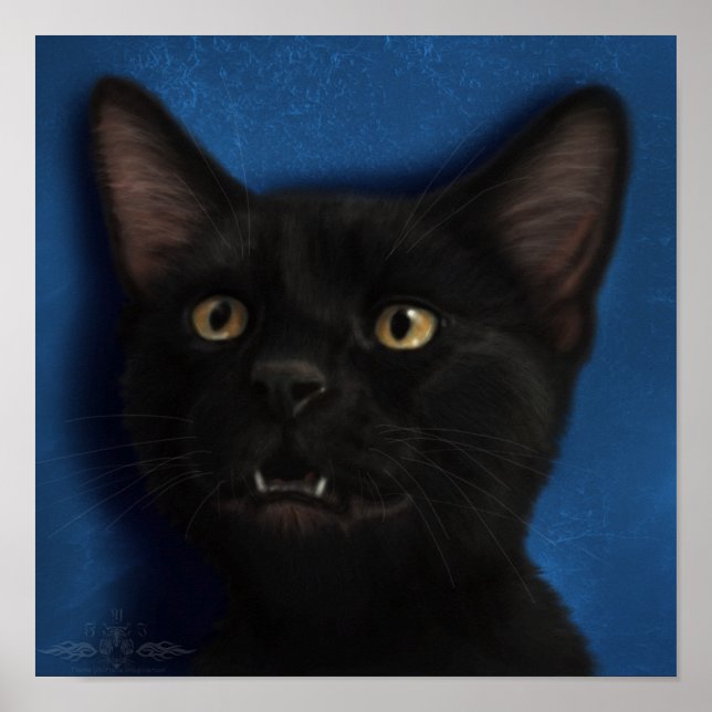 Pôster Boris (Frente)