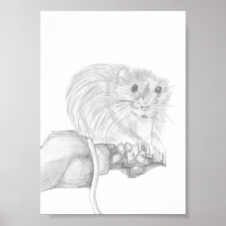 Poster Boris O Rato, Desenho de Animal