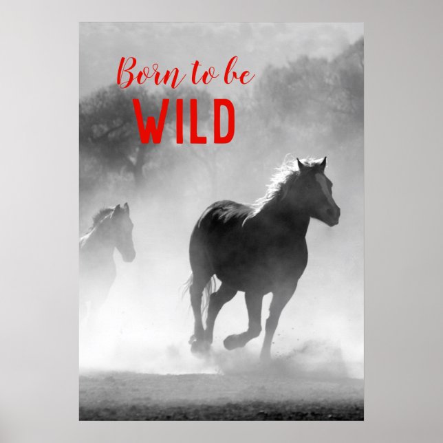 Poster Born to be Wild Black & White Running Horses (Frente)