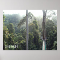 Borneo RainForest Jungle Treetops Walkway Sabah