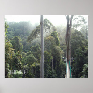 Poster Borneo RainForest Jungle Treetops Walkway Sabah