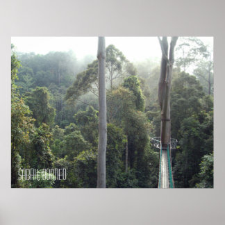 Poster Borneo RainForest Jungle Treetops Walkway Sabah