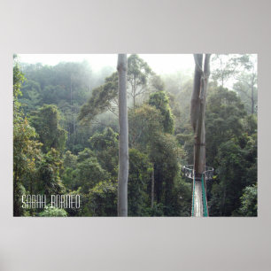 Poster Borneo RainForest Jungle Treetops Walkway Sabah