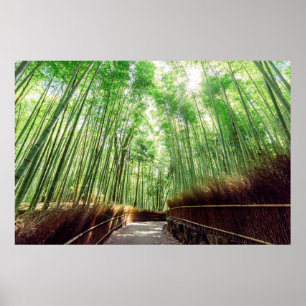 Poster Bosque de bambu   Arashiyama, Kyoto, Japão