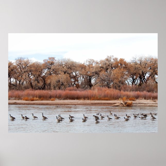 POSTER "BOSQUE PARADE" (Frente)