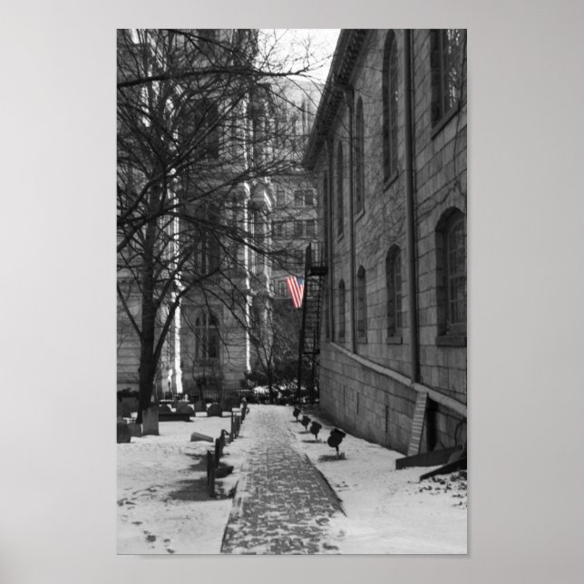 Pôster Boston (Frente)