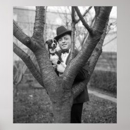 Pôster Boston Terrier, 1920