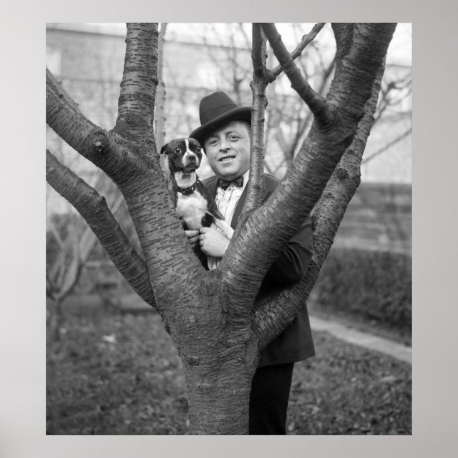 Pôster Boston Terrier, 1920 (Frente)