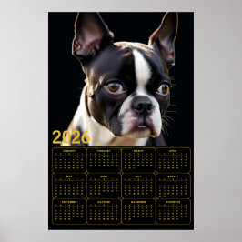 Poster Boston Terrier 2026 Calendar 