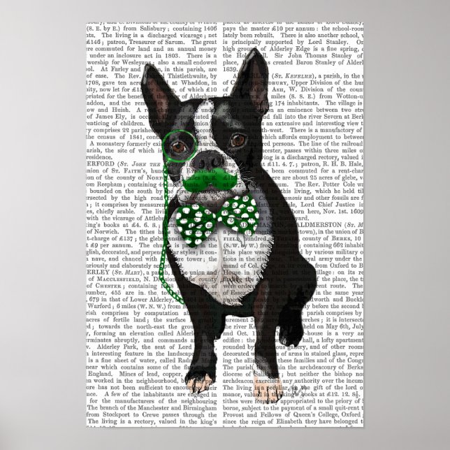 Pôster Boston Terrier com bigode verde (Frente)