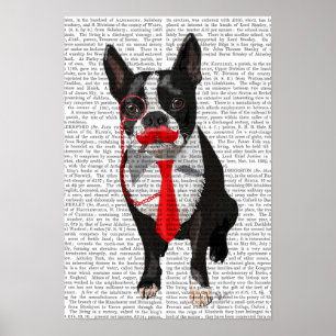 Pôster Boston Terrier com gravata vermelha e bigode