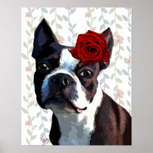 Poster Boston Terrier com Rosa na cabeça