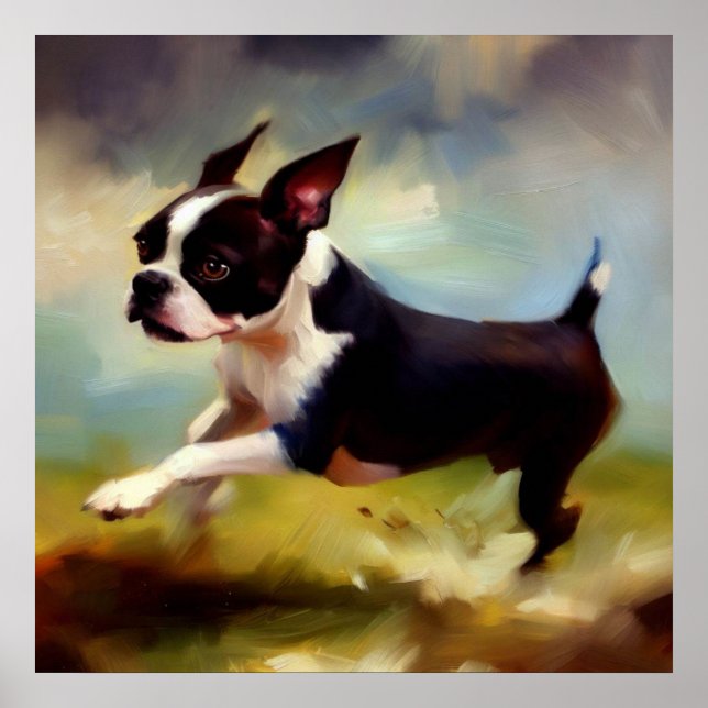 Poster Boston Terrier Dog (Frente)