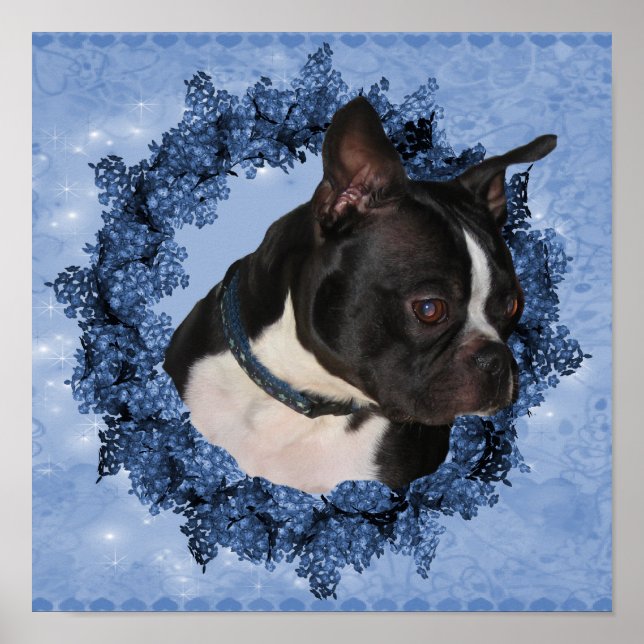 Poster Boston Terrier Dog Em Floral Wreath (Frente)