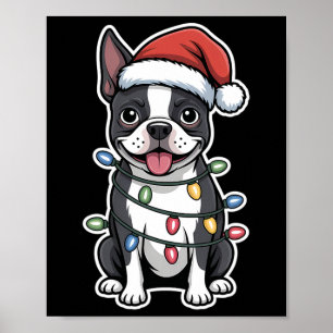 Poster Boston Terrier embrulhada em luzes de Natal