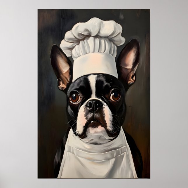 Poster Boston Terrier In Chefs Hat Poster, Pet Art (Frente)