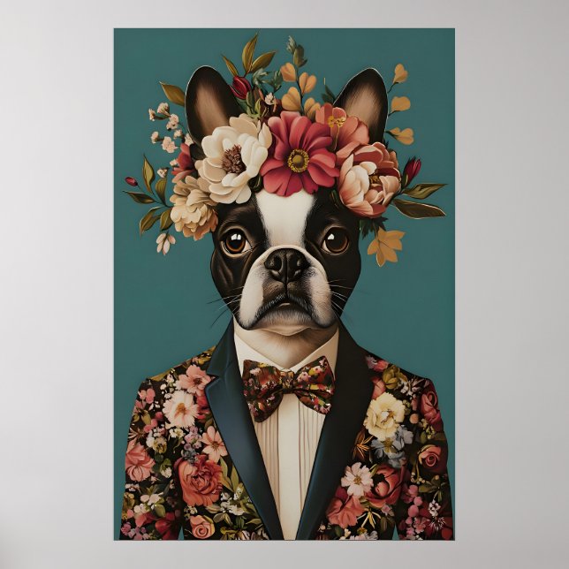 Poster Boston Terrier In Suit Poster, Boston Terrier (Frente)