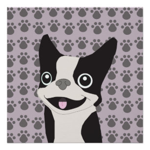 Pôster Boston Terrier, Lavanda Roxa