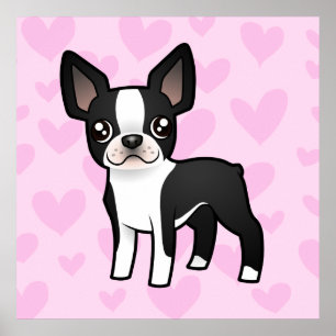 Pôster Boston Terrier Love