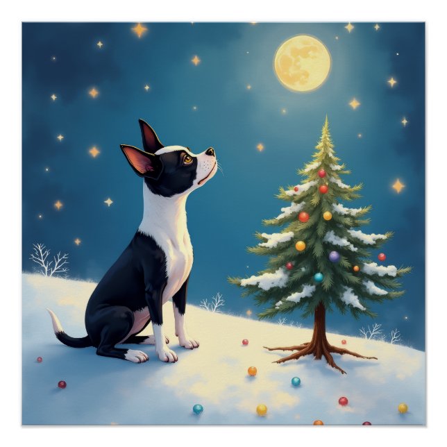 Pôster Boston Terrier Midnight Star-Gazing Christmas (Frente)