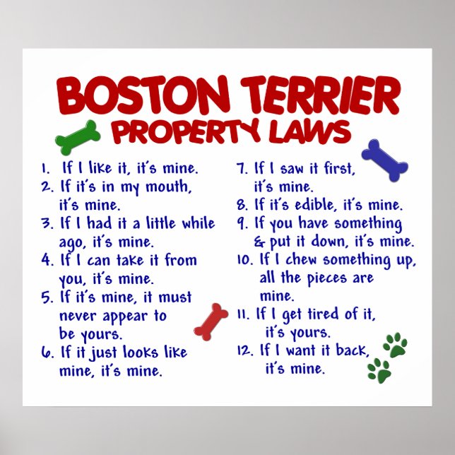 PÔSTER BOSTON TERRIER PL2 (Frente)