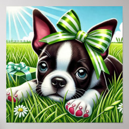 Poster Boston Terrier Puppy com Arco Verde