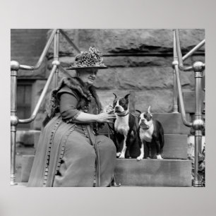 Pôster Boston Terriers, 1920
