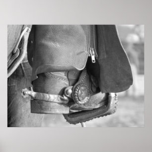 Poster Bota-n-Dentes retos