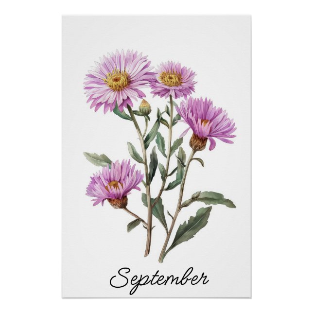 Pôster Botânica de Setembro Aster Birth Flower (Frente)