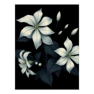 Pôster Botânica Escura do Blooming Noturno Jasmine