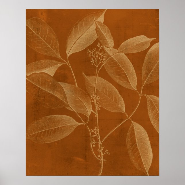 Poster Botânica Moderna VI (Frente)