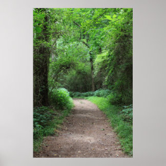 Pôster Botanical Series 123