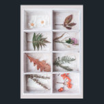 Poster Botanical White Shadow Box, Flowers Leaves Ferns<br><div class="desc">Botanical White Shadow Box of various flowers,  leaves and ferns. Makes a great gift.</div>