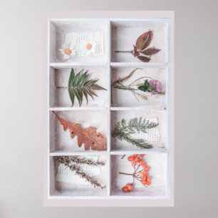 Poster Botanical White Shadow Box, Flowers Leaves Ferns