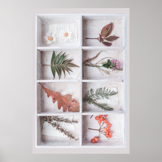 Poster Botanical White Shadow Box, Flowers Leaves Ferns (Frente)