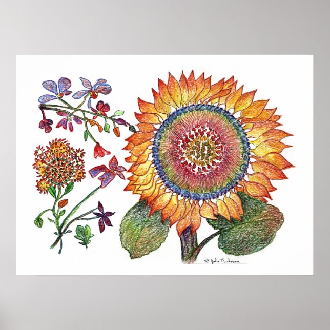 Poster botânico46 (Frente)